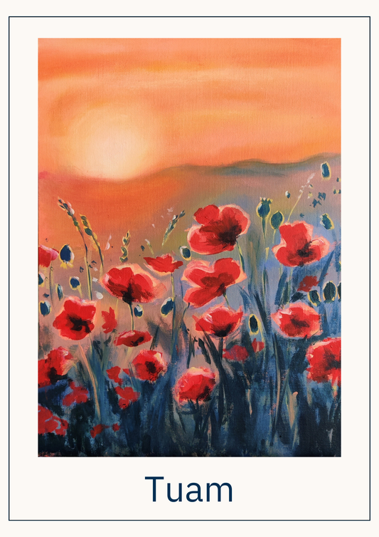 Tuam Galway Fun Art classes May 22nd 2026